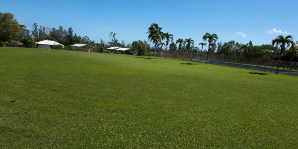 Maikoiko Park 2